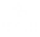 PEGASE-logo-blanc-02